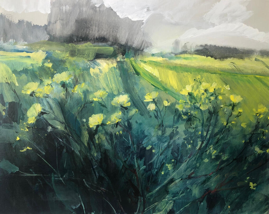 Rapeseed at Bolberry / Acrylic on canvas / framed 61cm x 76cm / £1000