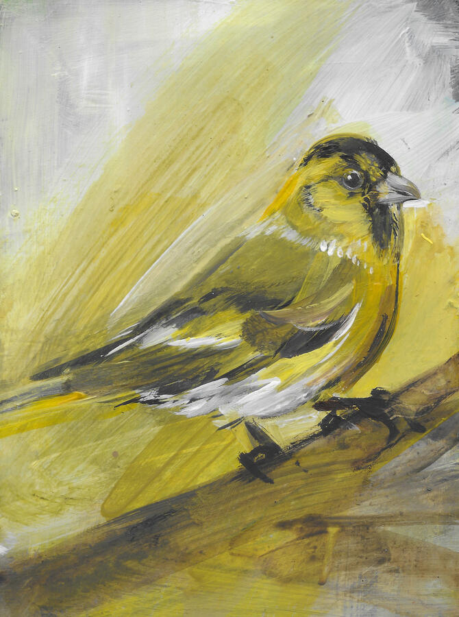 Siskin / Acrylic on board / framed 24cm x 19cm / £145
