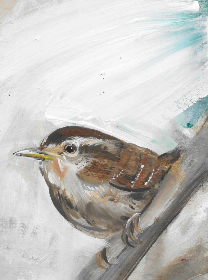 Wren / Acrylic on board / framed 24cm x 19cm / £145