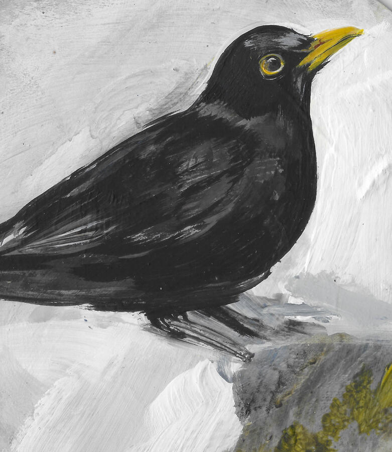 Blackbird / Acrylic on board / circular frame- 8 inch / £145