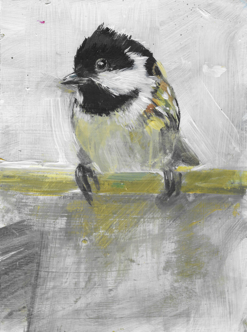 Coal Tit Acrylic on board (framed 24cm x 19cm) Available