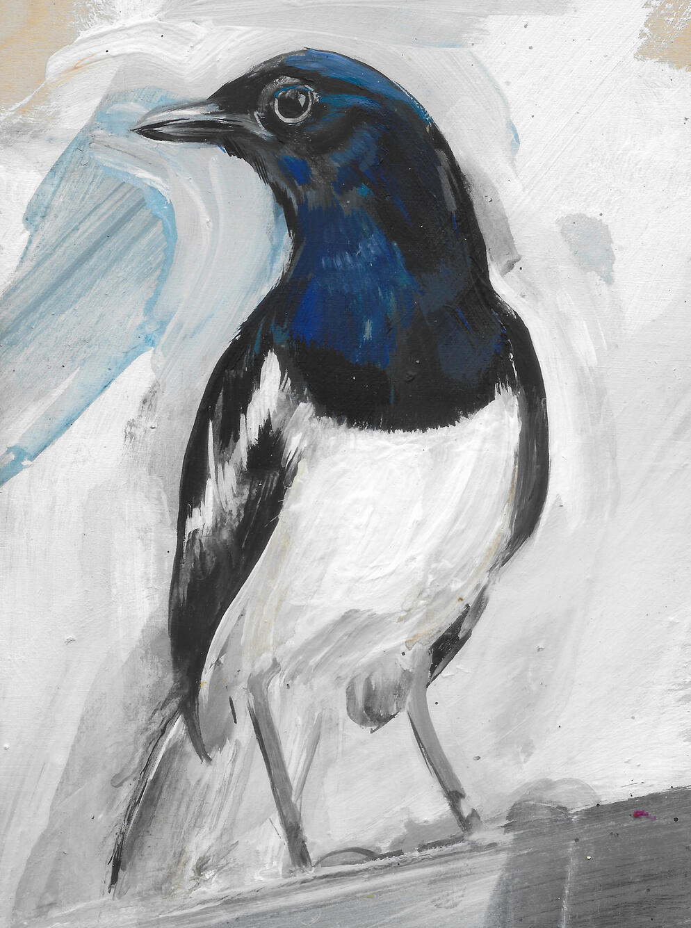 Magpie Acrylic on board (framed) 24cm x 19cm Available