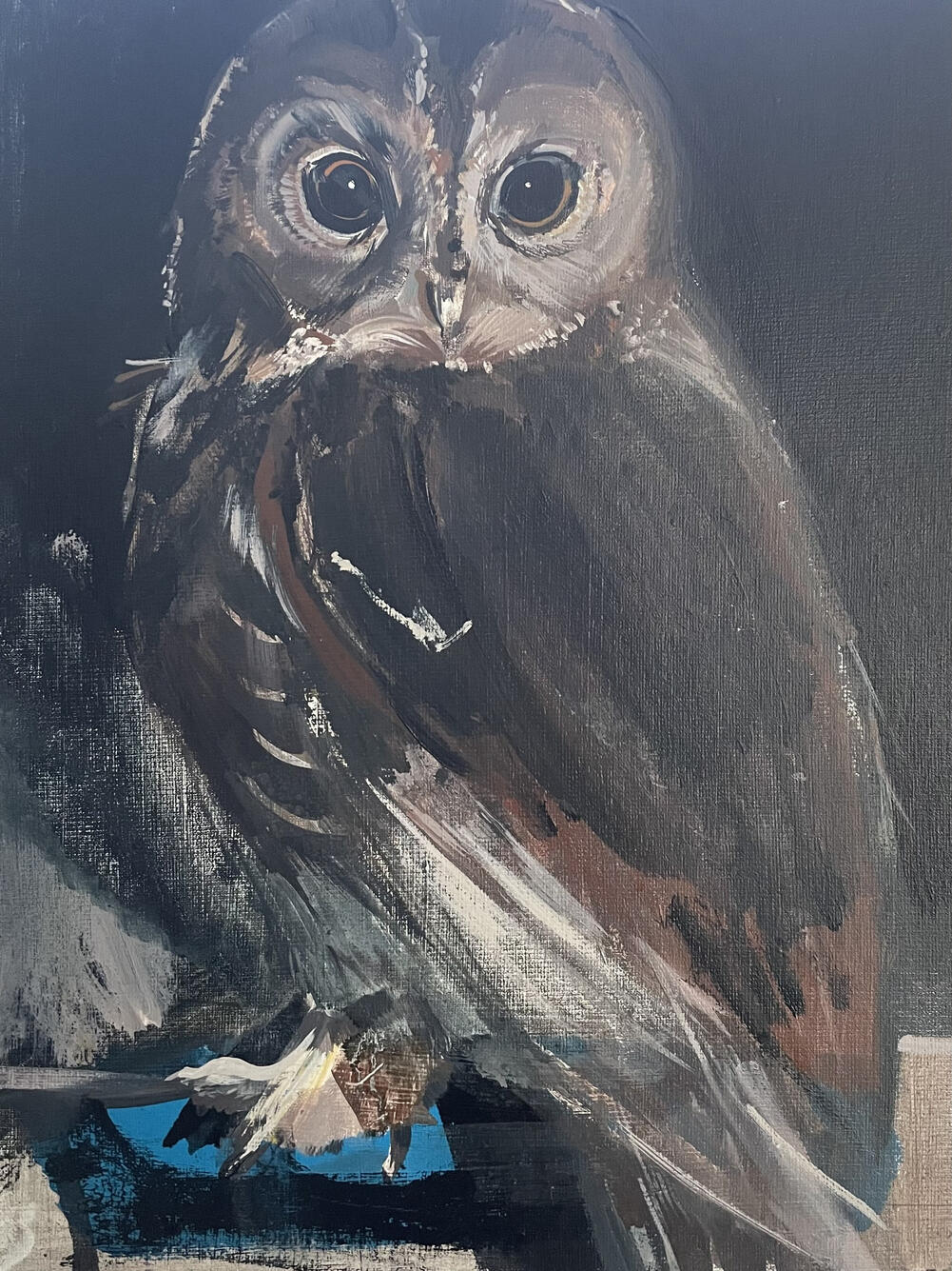 Tawny owl SOLD