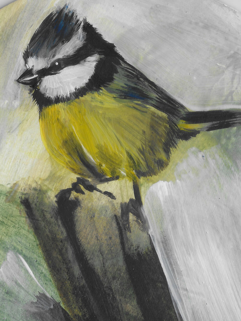 Blue Tit Acrylic on board (circular 8 inch frame) Available