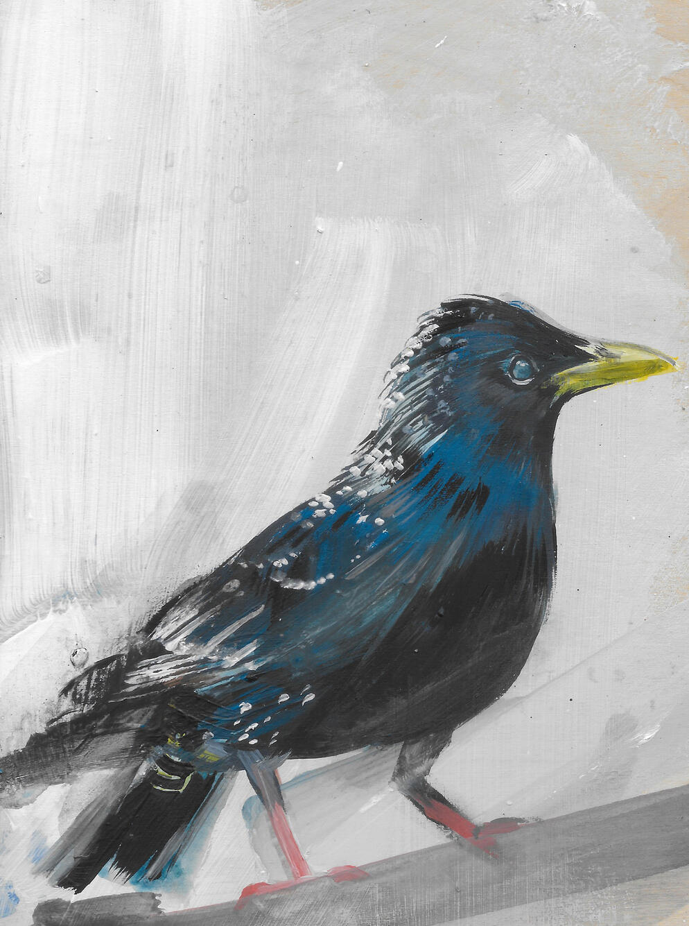 Starling Acrylic on board (framed) 24cm x 19cm Available