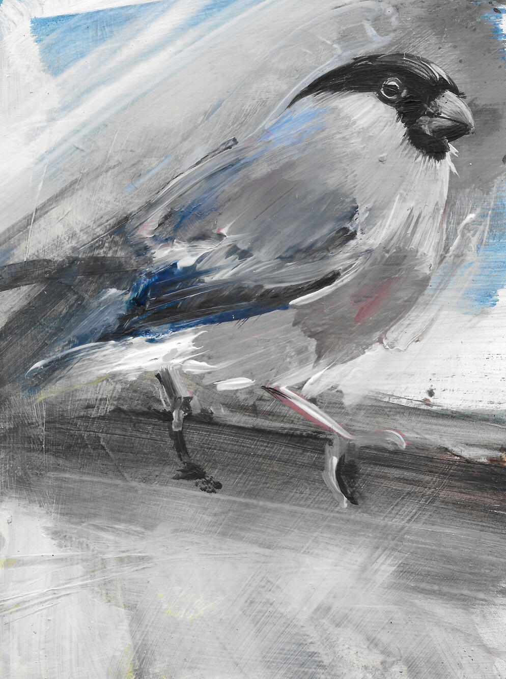 Female Bullfinch SOLD