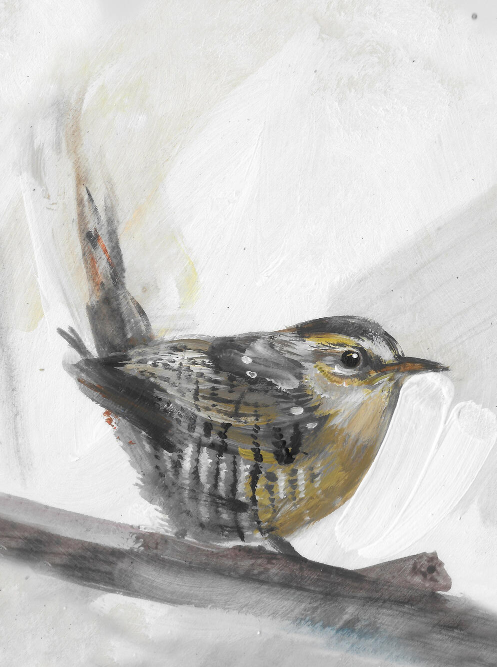 Wren Acrylic on board (circular 8 inch frame) Available